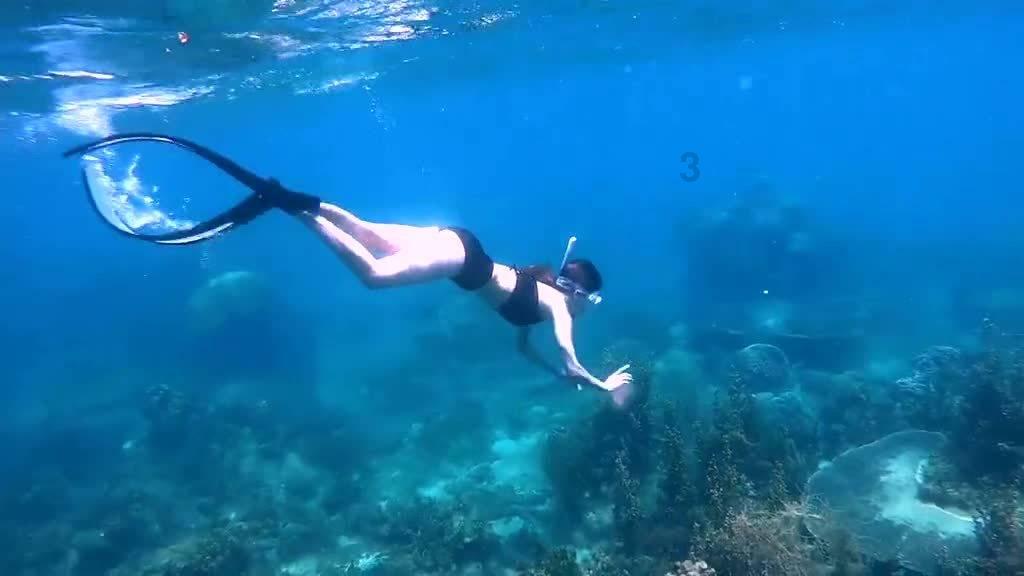 海滩小镇逃生